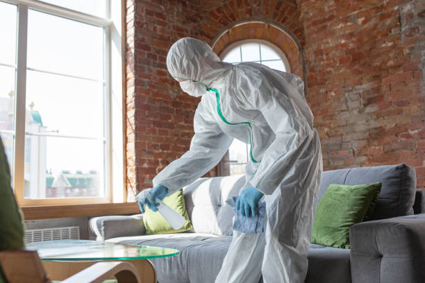 Why You Should Choose Our Mold Remediation Services in Mathis, TX